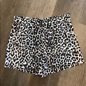 Ruffle Leopard J. Crew Shorts